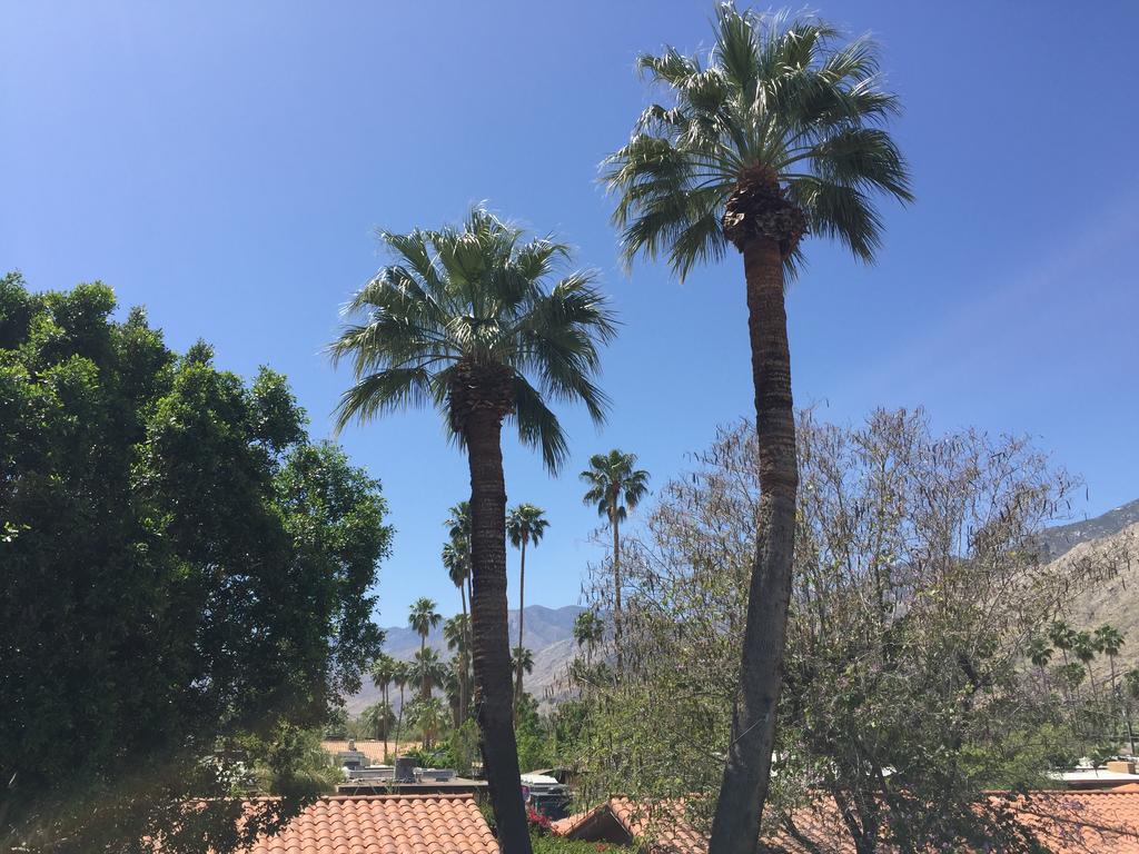 Warm Sands Villa Palm Springs Zewnętrze zdjęcie